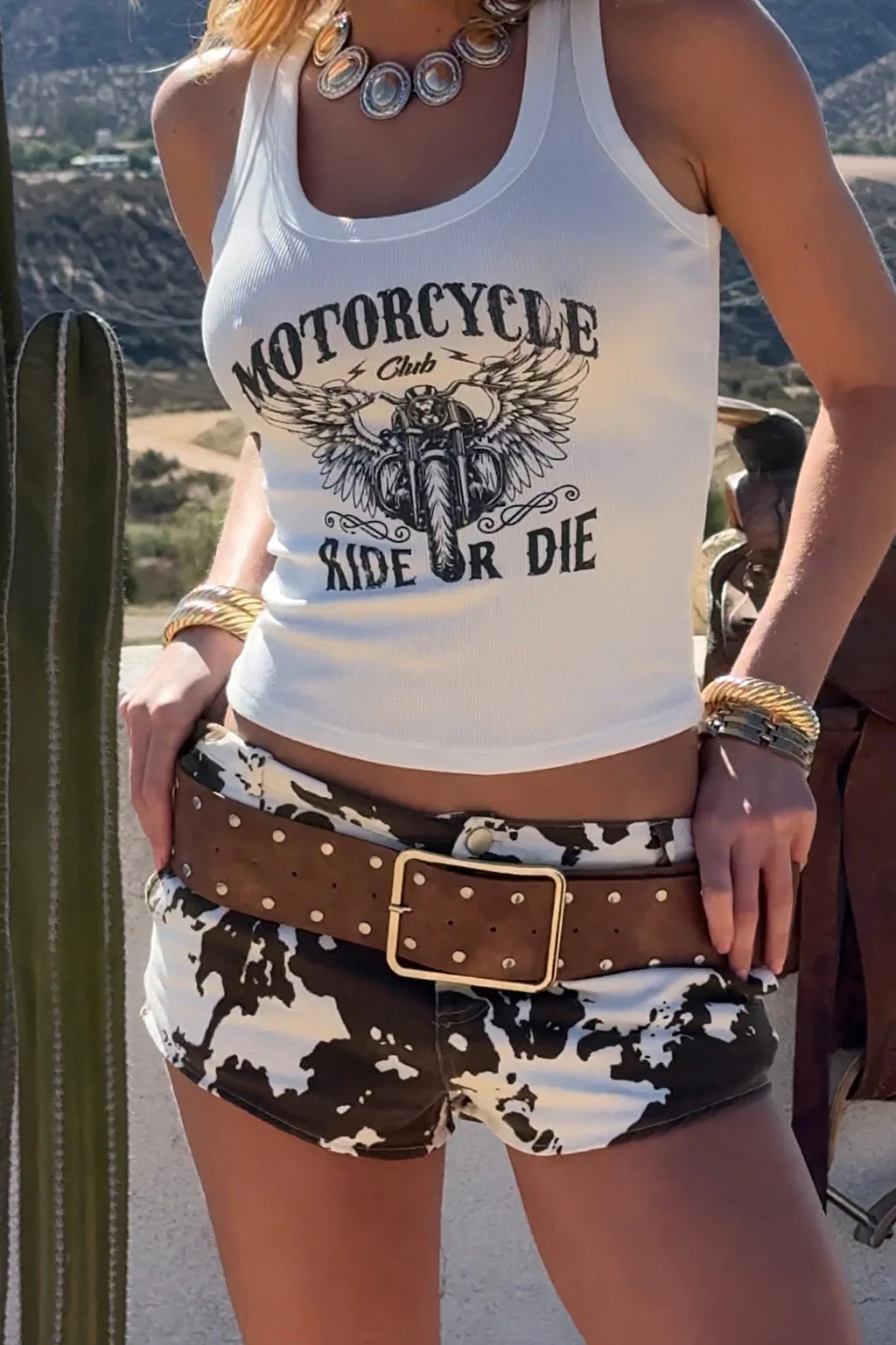 Dixie Cow Print Low Rise Hot Shorts - Image 9