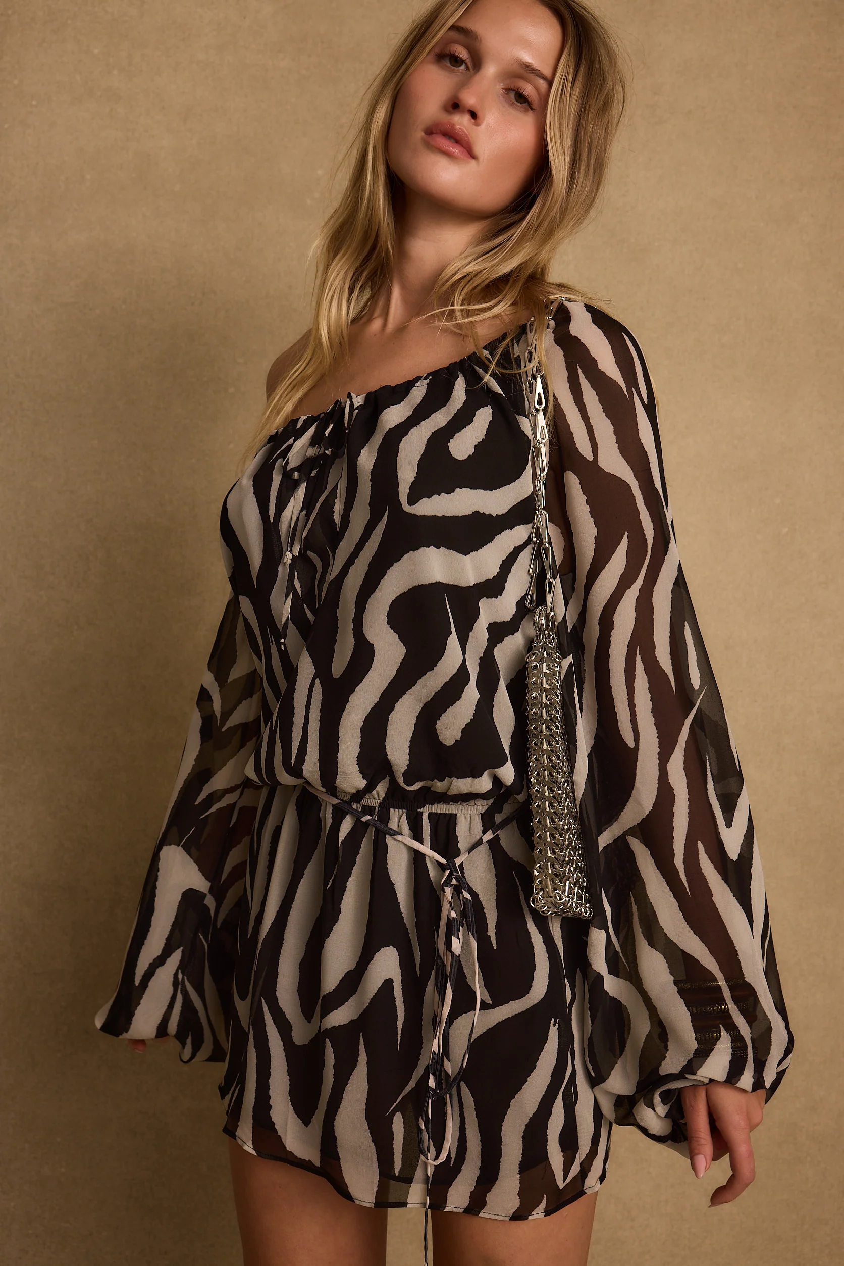 Gina Zebra Mini Dress - Image 2