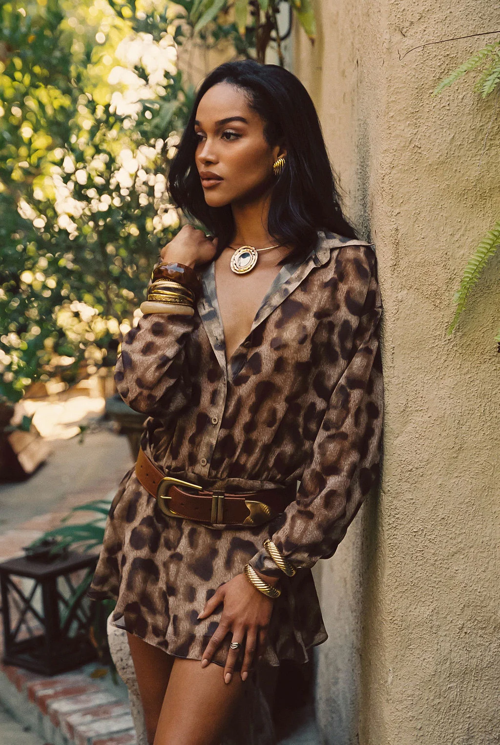 Jasper Brown and Gold Statement Belt - Image 2