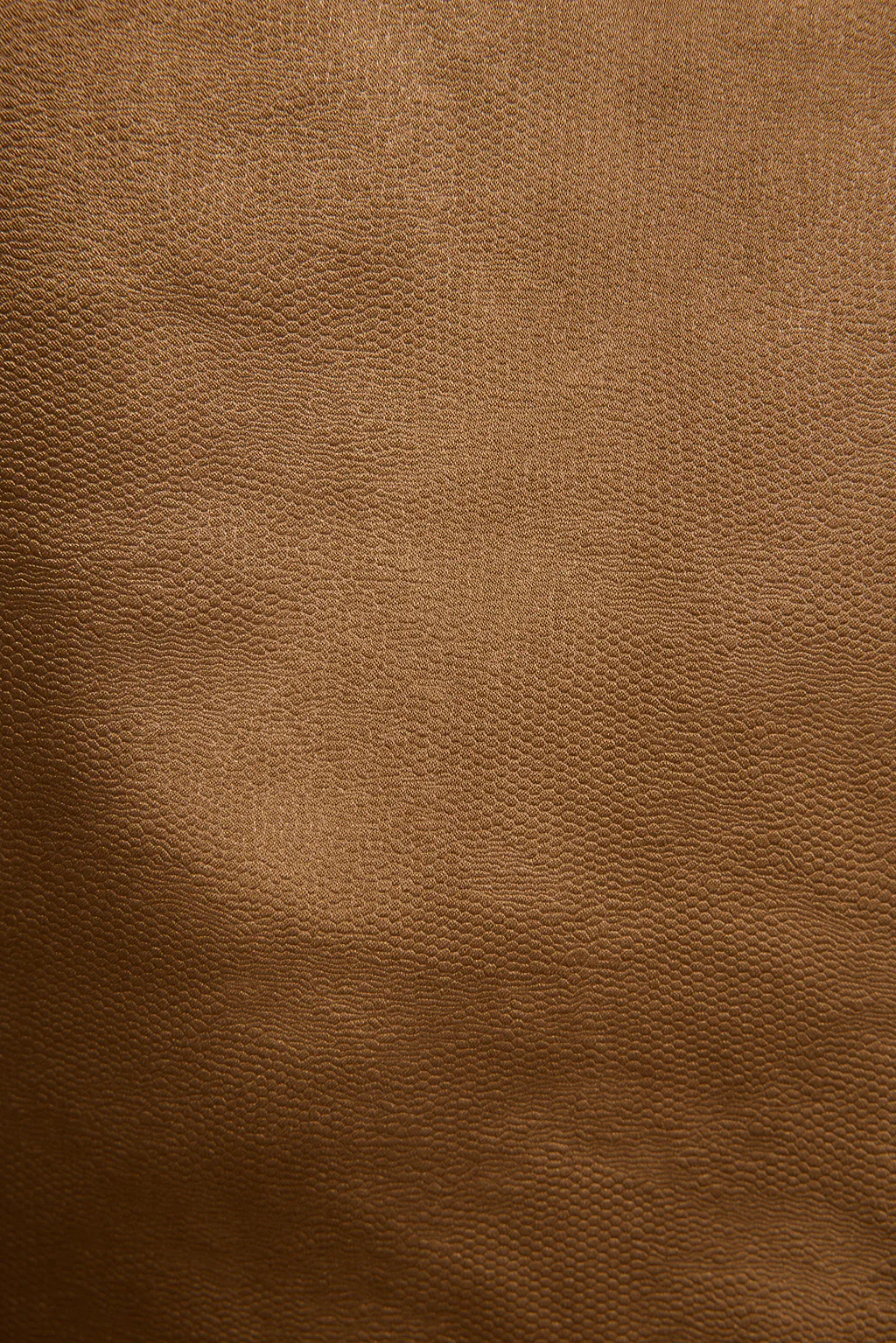 Sienna Coast Bronze Satin Halter Top - Image 7