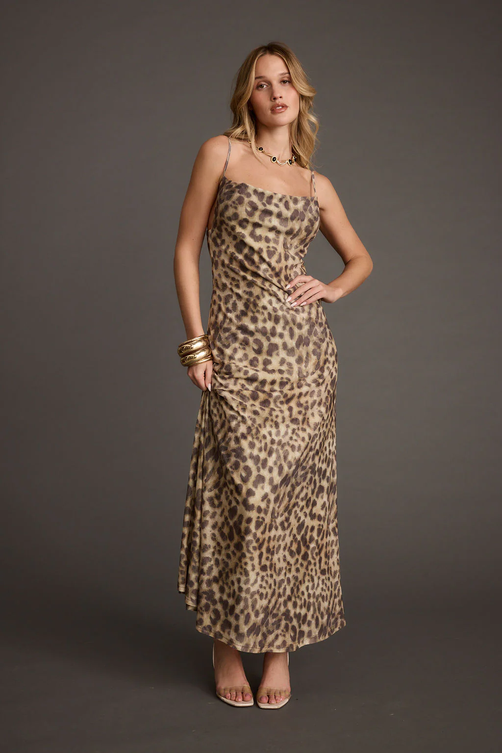 Wild Thing Leopard Print Mesh Maxi Dress - Image 5