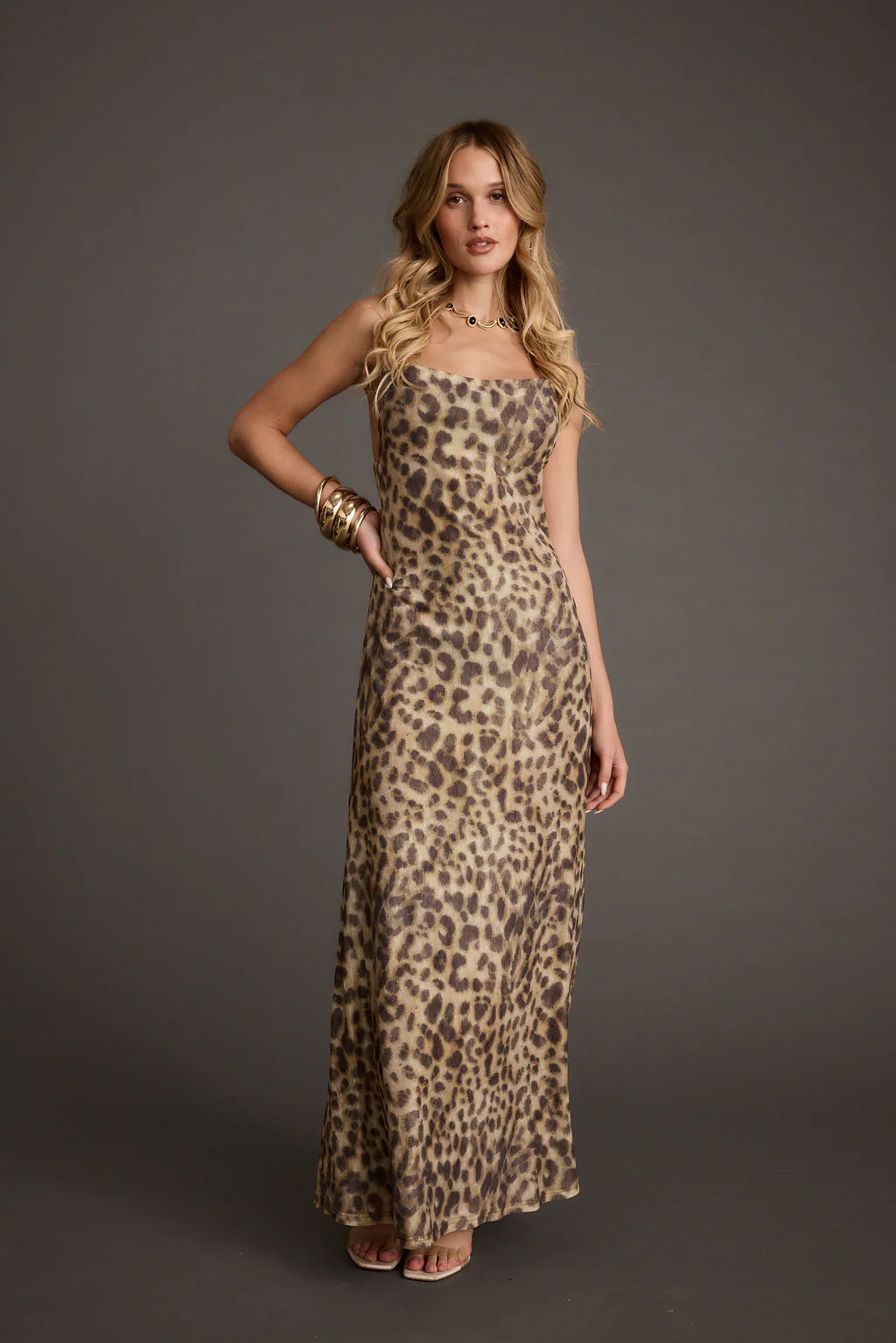 Wild Thing Leopard Print Mesh Maxi Dress - Image 6